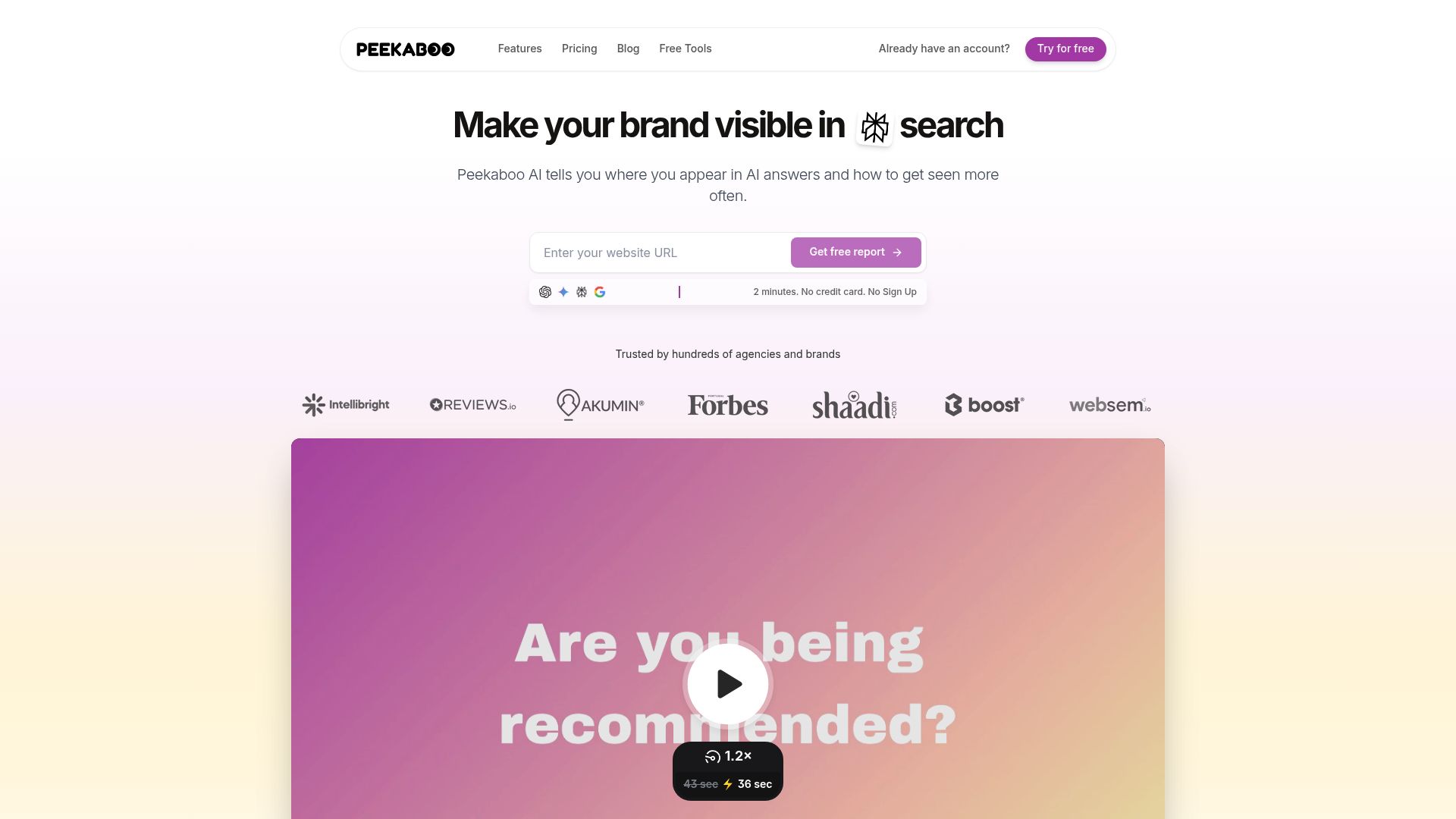 Screenshot of AI Peekaboo homepage
