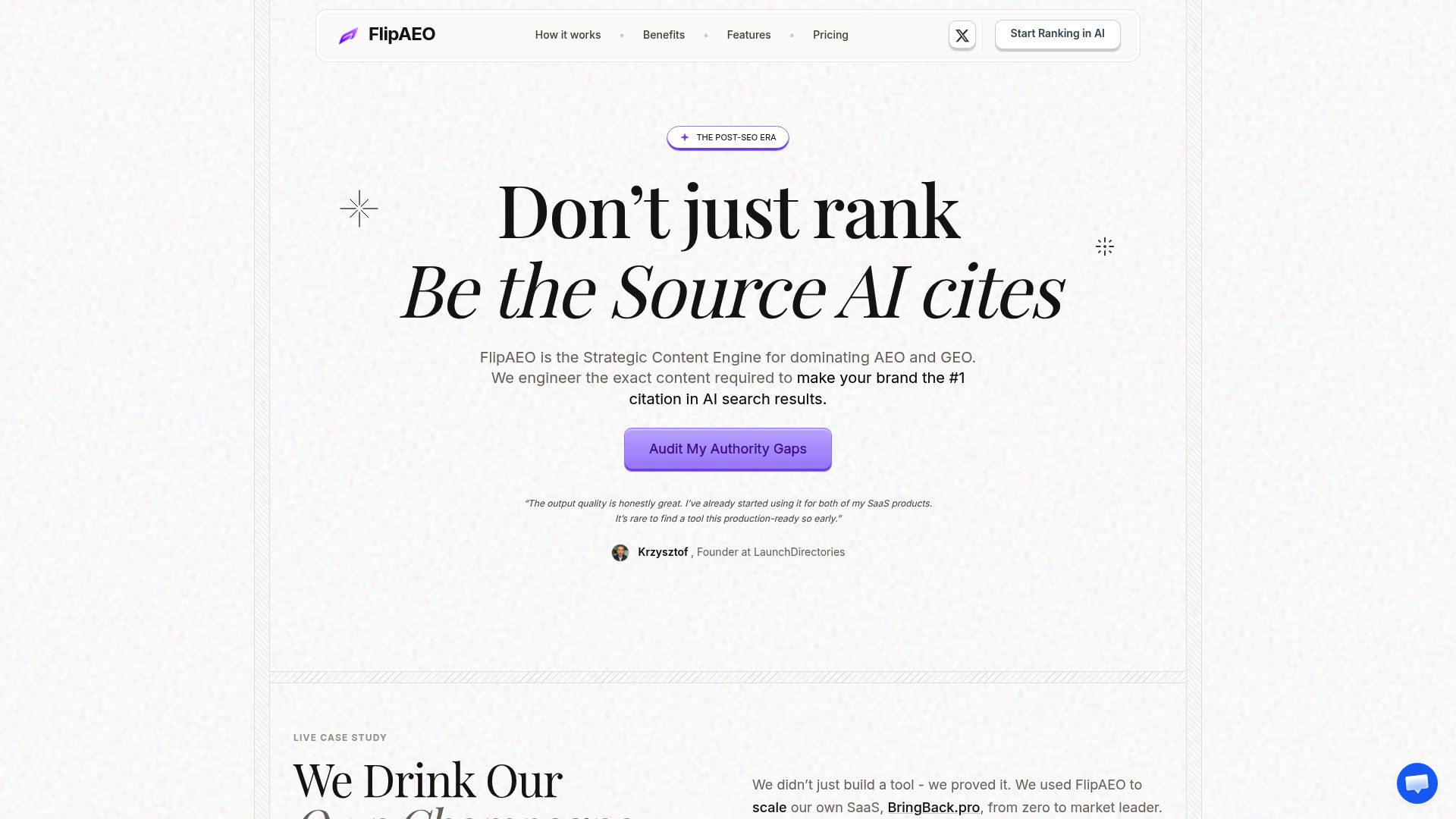 Screenshot of Flip AEO homepage