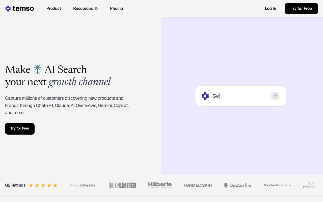 Screenshot of Temso homepage