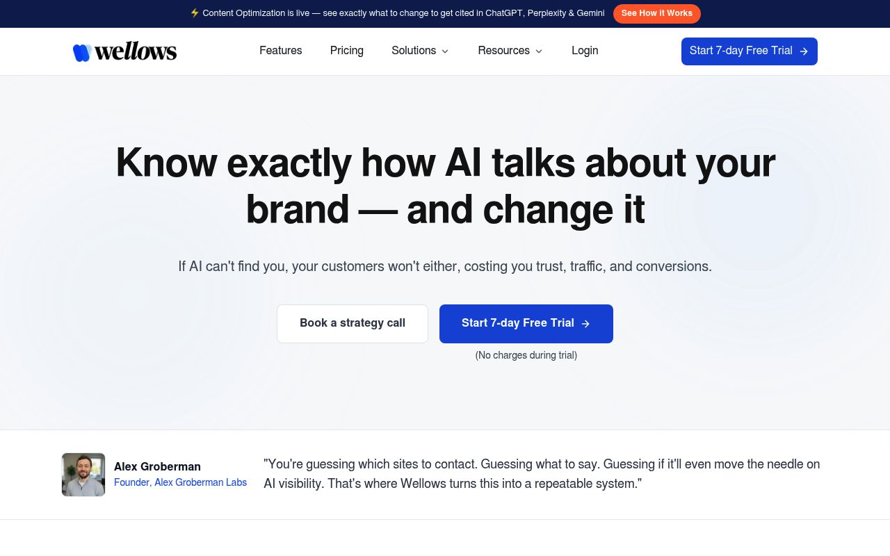 Screenshot of Wellows homepage